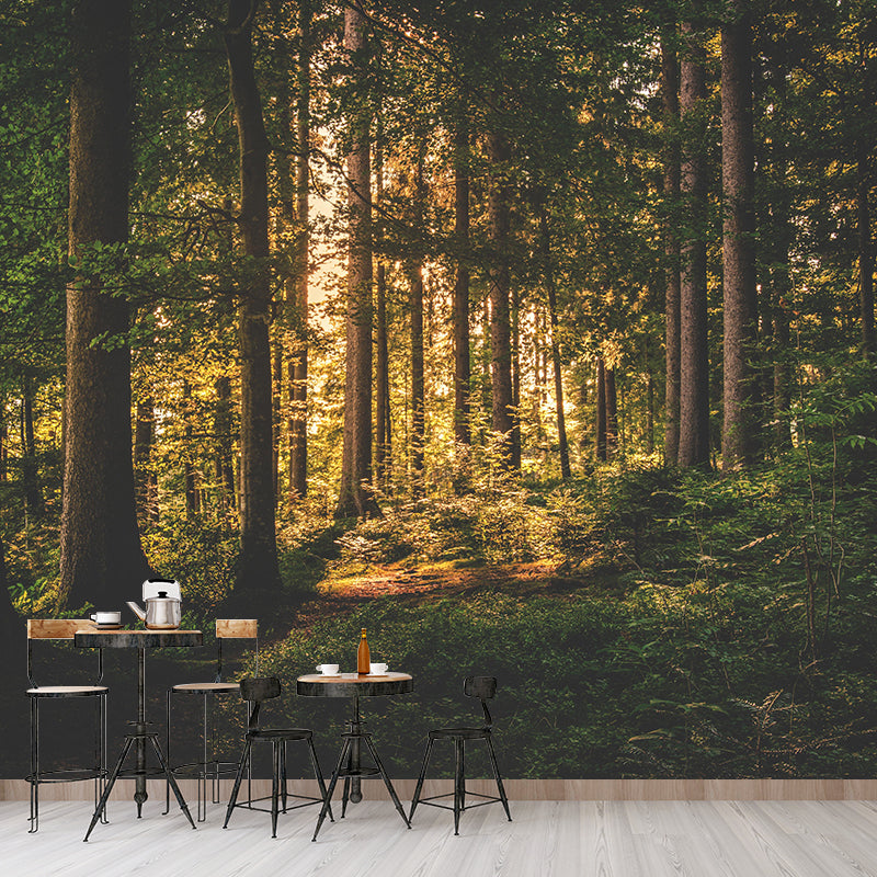 Contemporary Moisture Resistant Forest Mural Wall Covering for Dining Room Home Decor