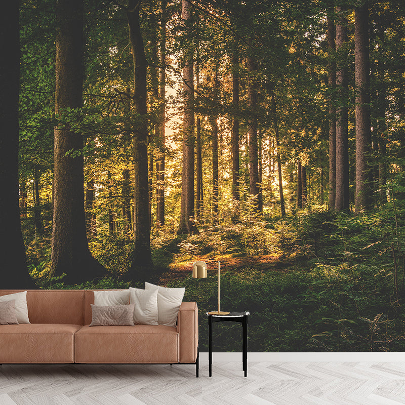 Contemporary Moisture Resistant Forest Mural Wall Covering for Dining Room Home Decor