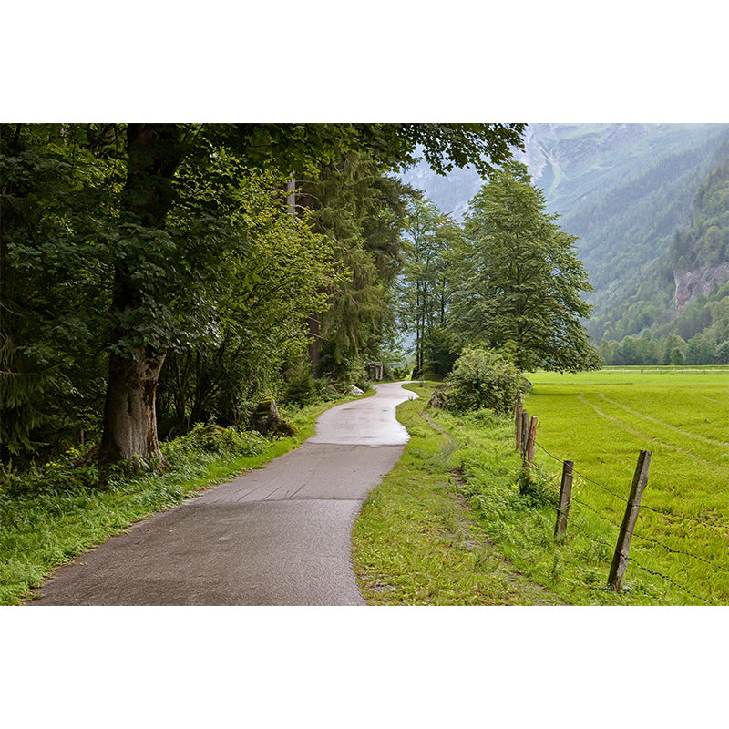 Contemporary Moisture Resistant Forest Mural Wall Covering for Dining Room Wall Decor