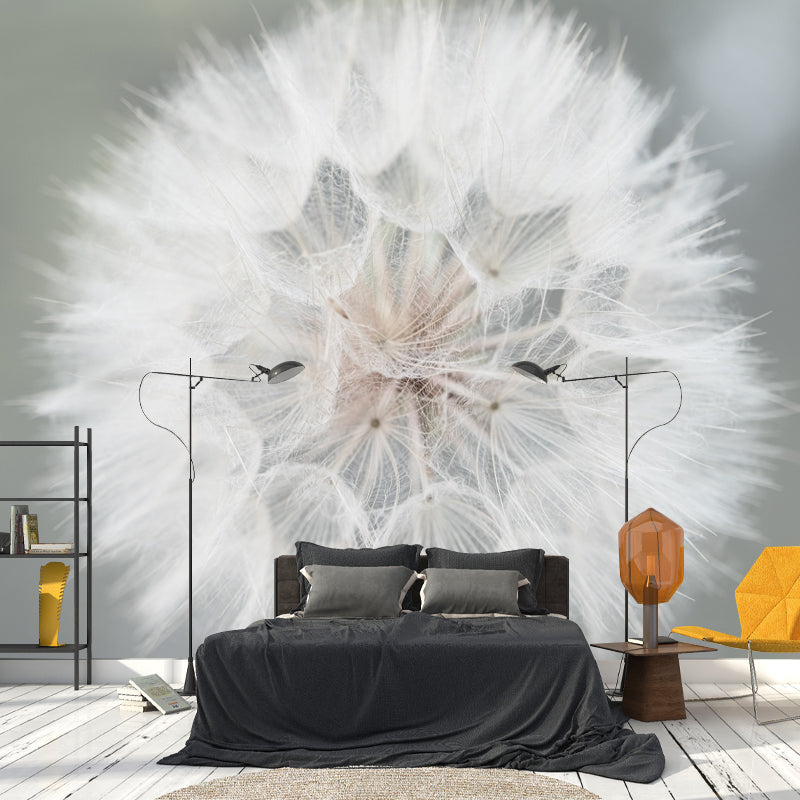 Seed Plants Wall Mural for Reading Room Eco-friendly Wall Covering, Customized