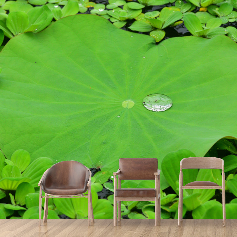 Lotus Leaf Moisture Resistant Mural for Sitting Room, Customized Size Available