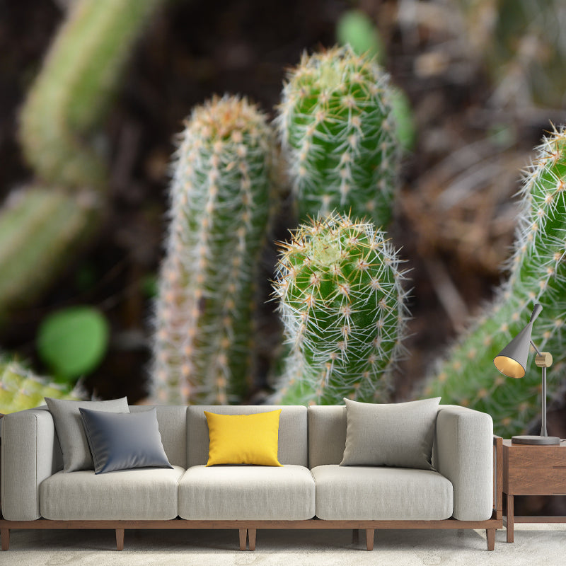 Cactus Plant Minimalist Wall Covering for Living Room, Customized Size Available