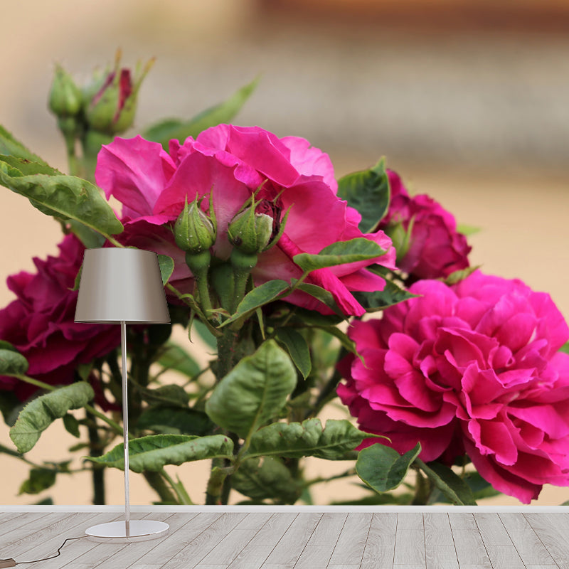 Bright Roses Mural Wallpaper Water-Resistant Wall Covering for Living Room