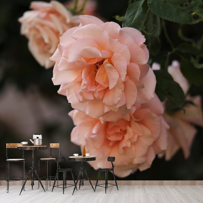 Bright Roses Mural Wallpaper Water-Resistant Wall Covering for Living Room