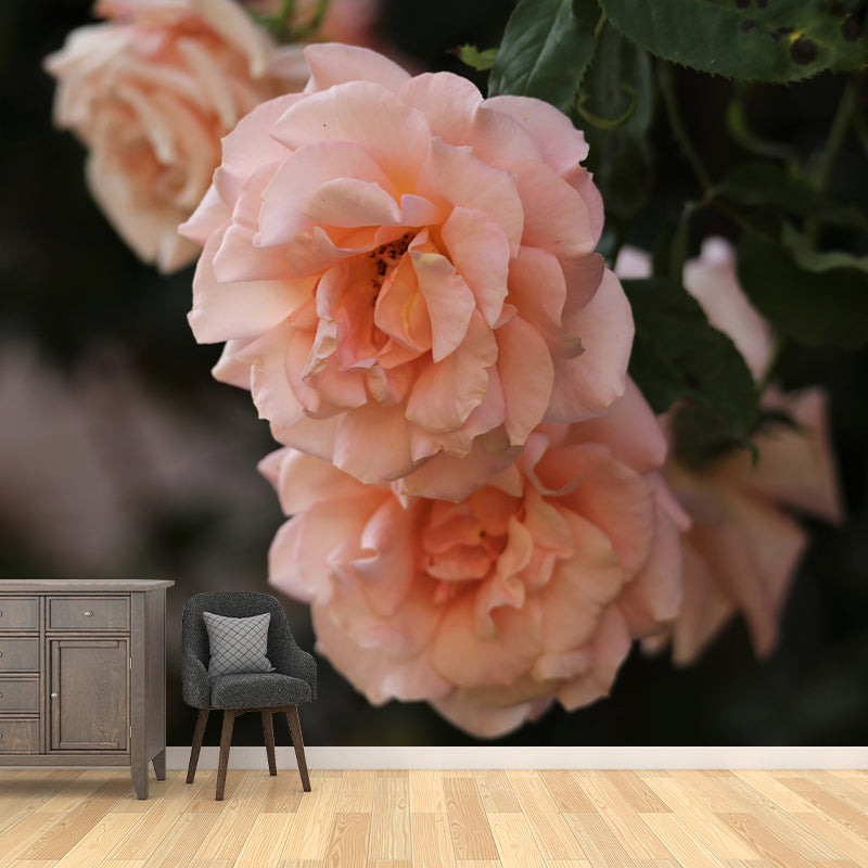 Bright Roses Mural Wallpaper Water-Resistant Wall Covering for Living Room