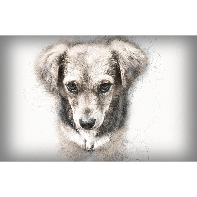 Puppy Dog Moisture Resistant Mural Wallpaper for Sleeping Room, Made to Measure