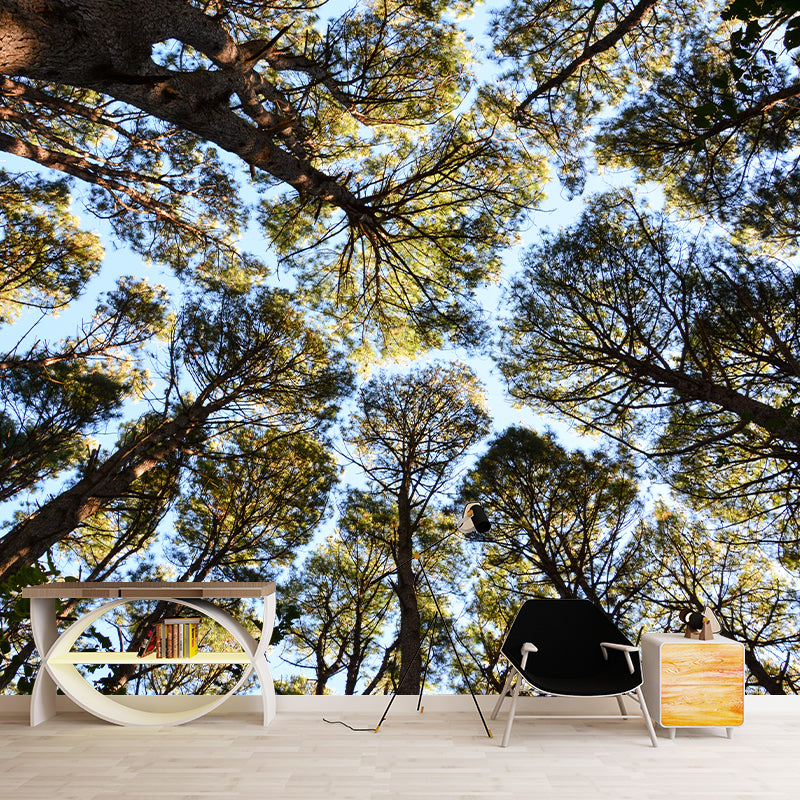 Forest Mural Decal Modern Mildew Resistant Wall Covering for Decoration