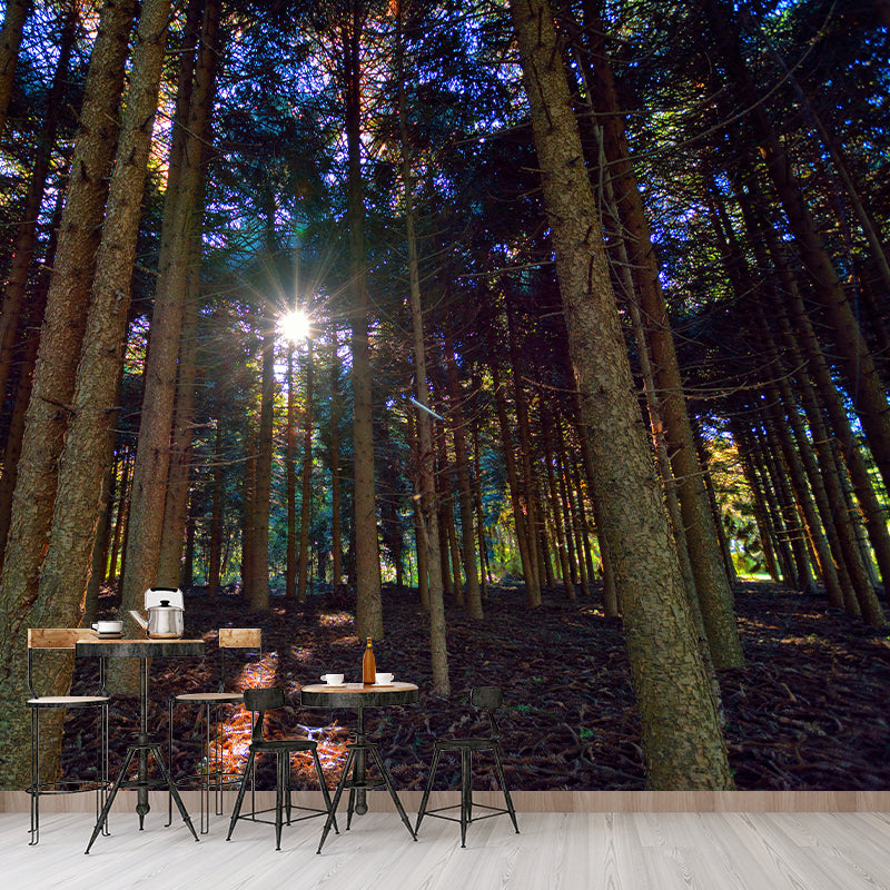 Forest Mural Decal Modern Mildew Resistant Wall Covering for Decoration