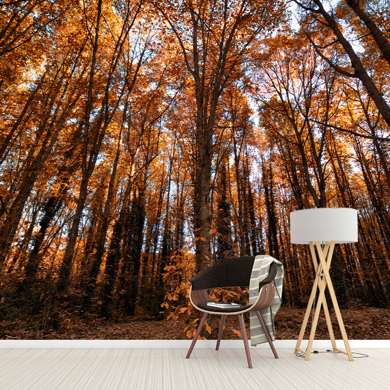 Forest Mural Decal Modern Mildew Resistant Wall Covering for Decoration