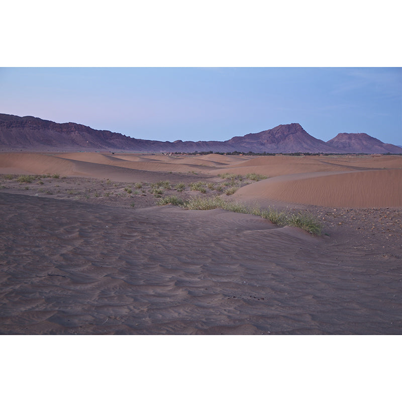 Dry Desert Scenery Wall Mural for Sitting Room, Water Resistant, Custom Size Available