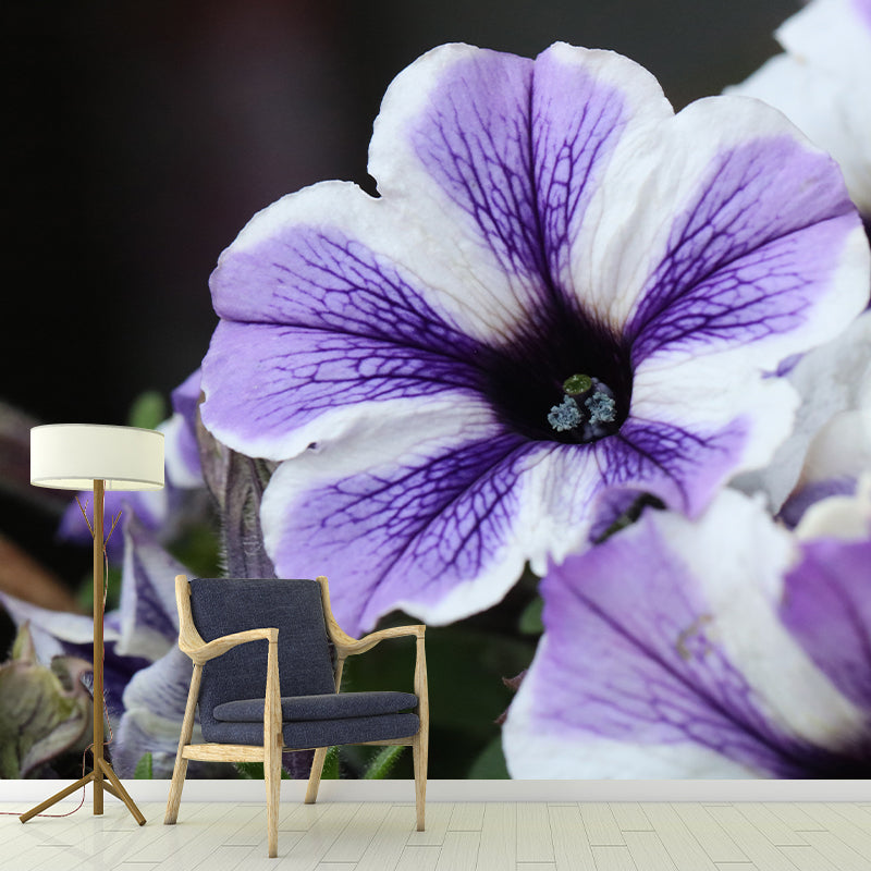 Petunia Blossom Mural Wall Paper Home Decorations for Kitchen Sitting Room