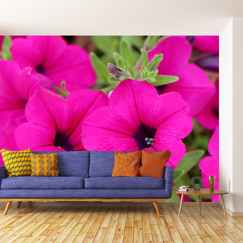 Petunia Blossom Mural Wall Paper Home Decorations for Kitchen Sitting Room