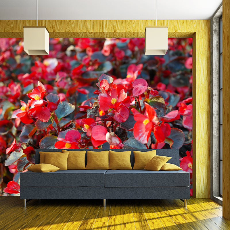 Begonia Flowers Moisture Resistant Mural Wallpaper for Gust Room Bedroom