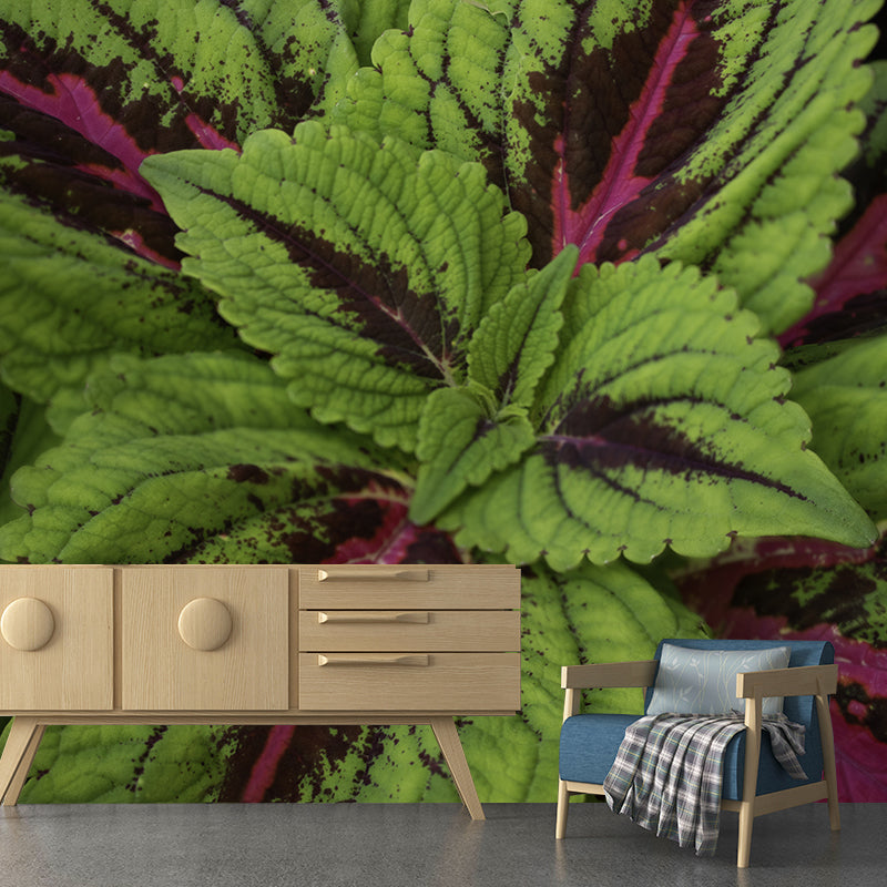 Coleus Plant Moisture Resistant Mural Decal Environment Friendly for Bathroom