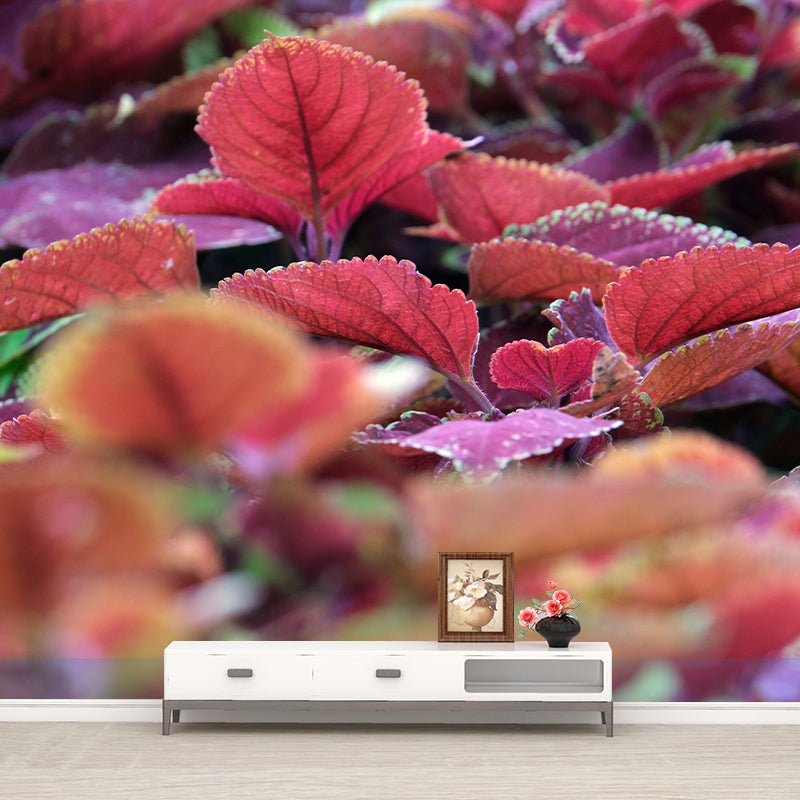 Coleus Plant Moisture Resistant Mural Decal Environment Friendly for Bathroom