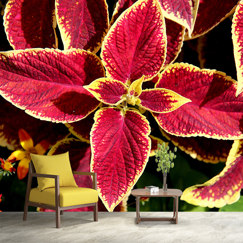 Coleus Plant Moisture Resistant Mural Decal Environment Friendly for Bathroom