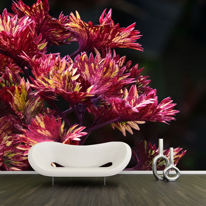 Coleus Plant Wall Mural Eco-friendly Customized Wall Covering for Sitting Room