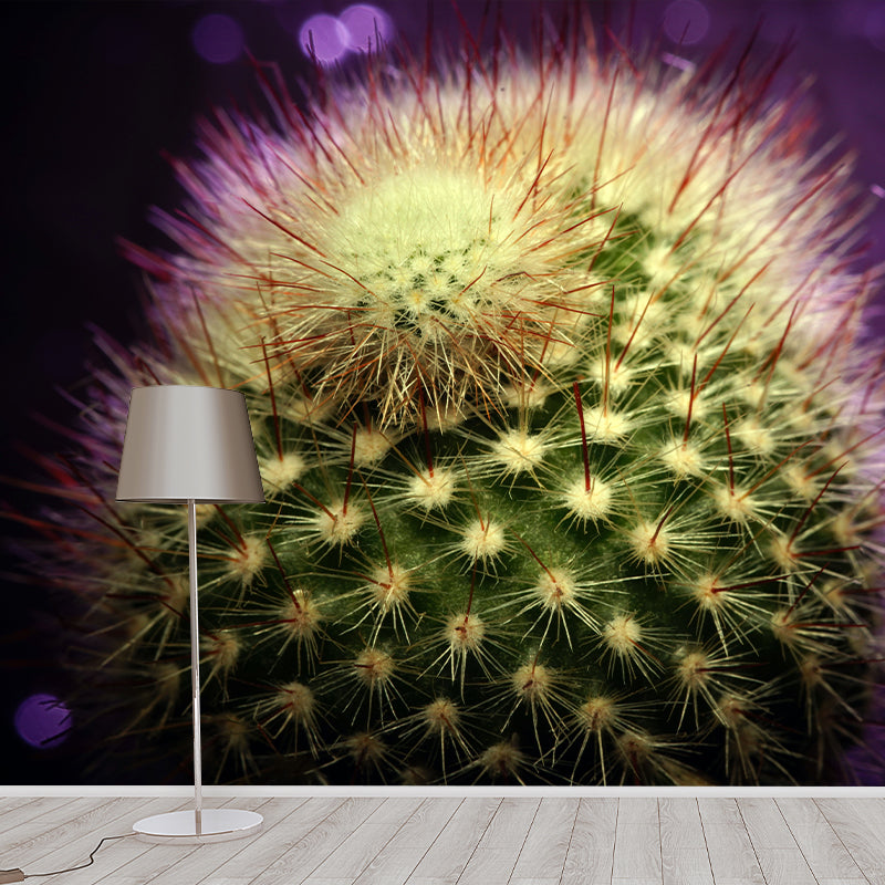 Green Plants Mural Mildew Resistant for Sitting Room Bedroom, Moisture Resistant