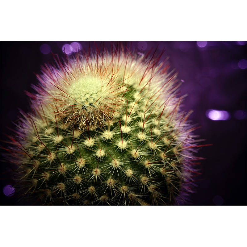 Green Plants Mural Mildew Resistant for Sitting Room Bedroom, Moisture Resistant