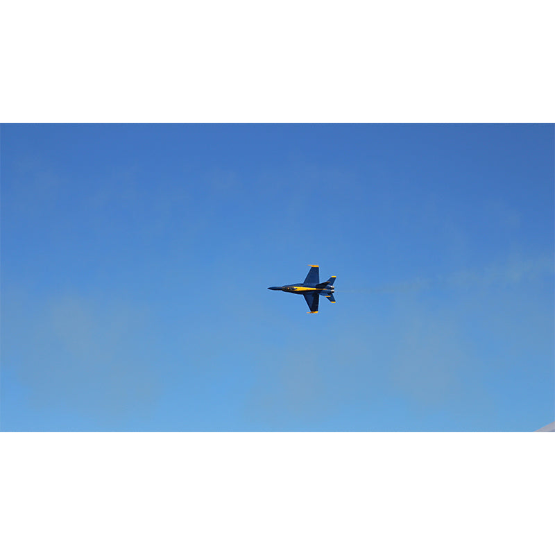 Modern Style Airplane Mural Decal Water Resistant Decor for Meeting Room