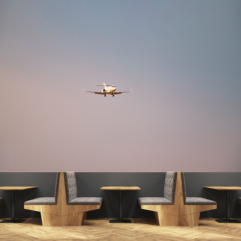 Modern Style Airplane Mural Decal Water Resistant Decor for Meeting Room