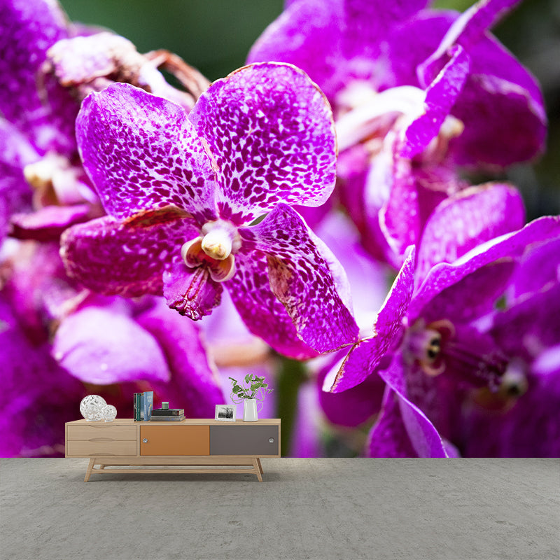 Orchid Flower Wall Covering for Sleeping Room Home Decor, Made to Measure