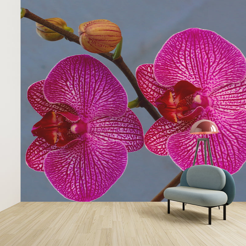 Orchid Flower Wall Covering for Sleeping Room Home Decor, Made to Measure