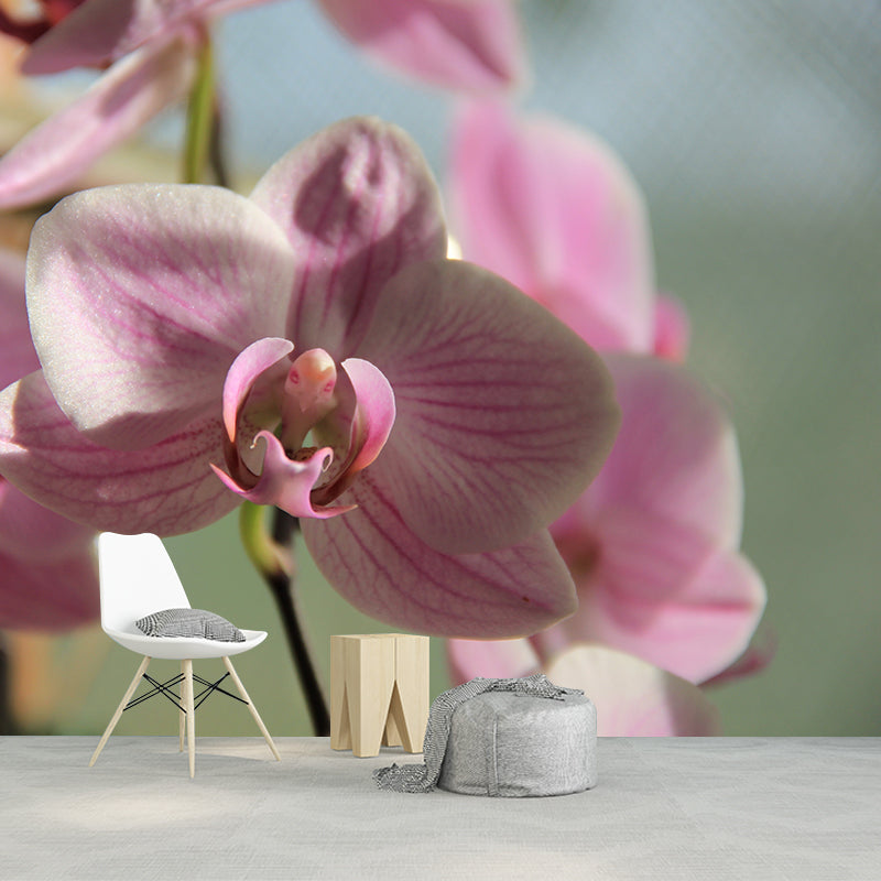 Cymbidium Photo Mural Decal Modern Wall Decor for Sleeping Room, Waterproofing