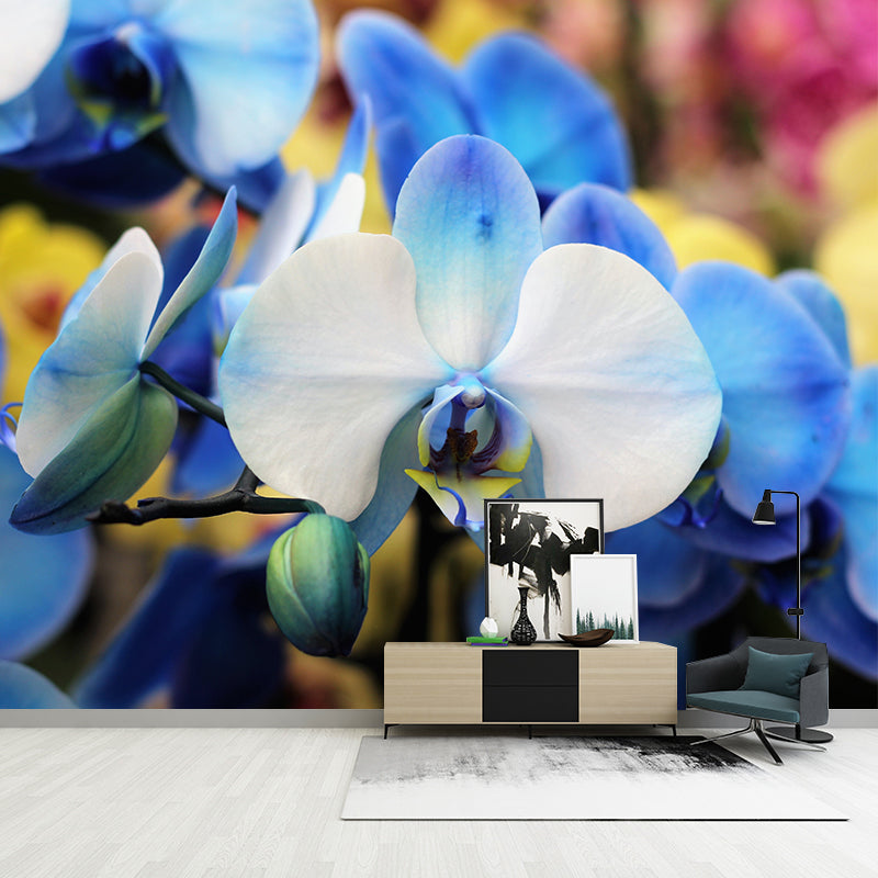 Cymbidium Photo Mural Decal Modern Wall Decor for Sleeping Room, Waterproofing