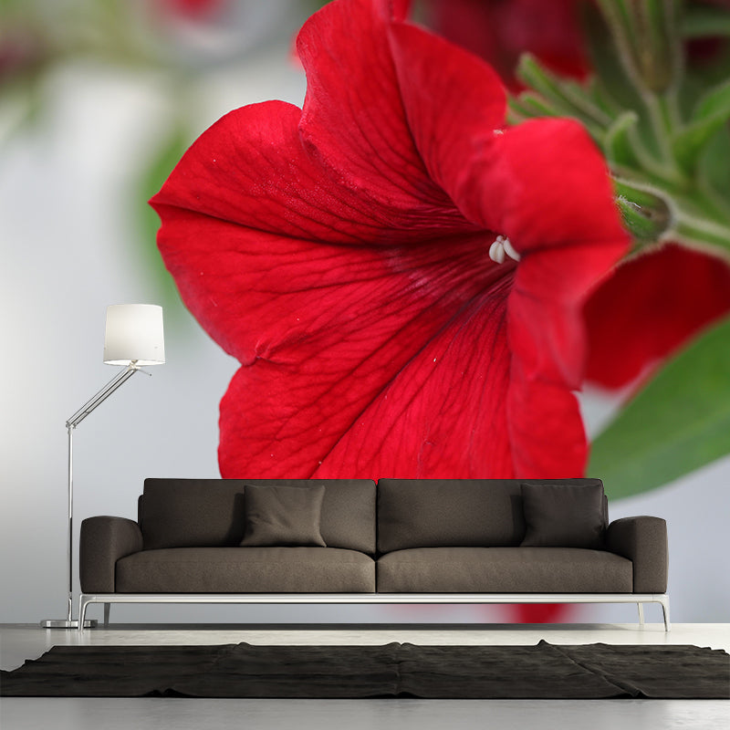 Contemporary Blooming Petunia Mural Wallpaper Environmental for Bedroom