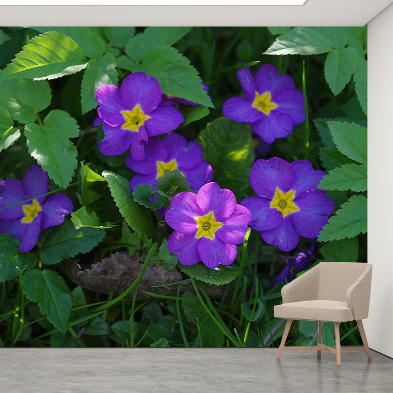 Contemporary Blooming Primrose Mural Wallpaper Environmental for Bedroom