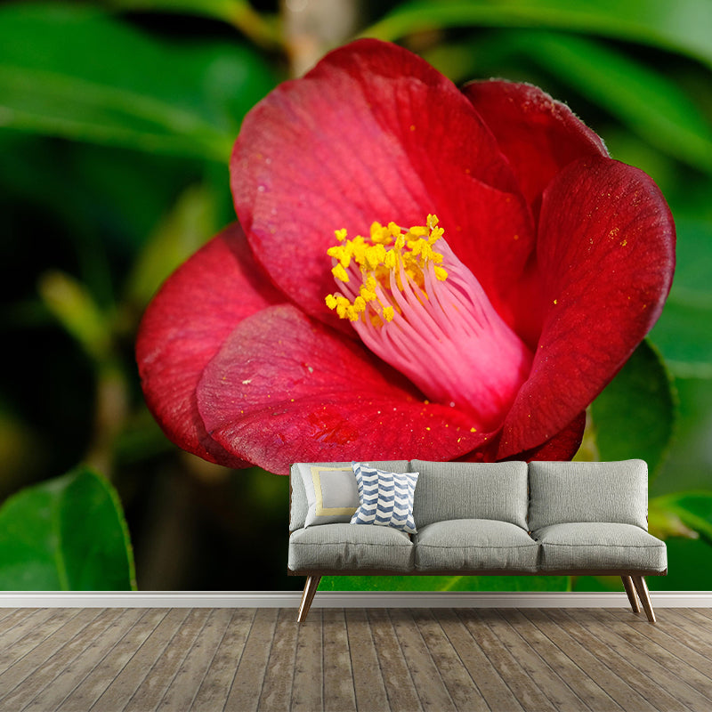 Contemporary Blooming Camellia Mural Wallpaper Environmental for Bedroom