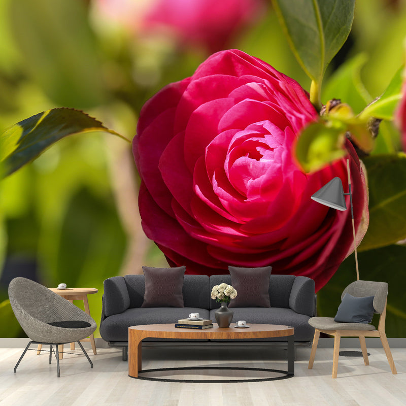 Contemporary Blooming Camellia Mural Wallpaper Environmental for Bedroom