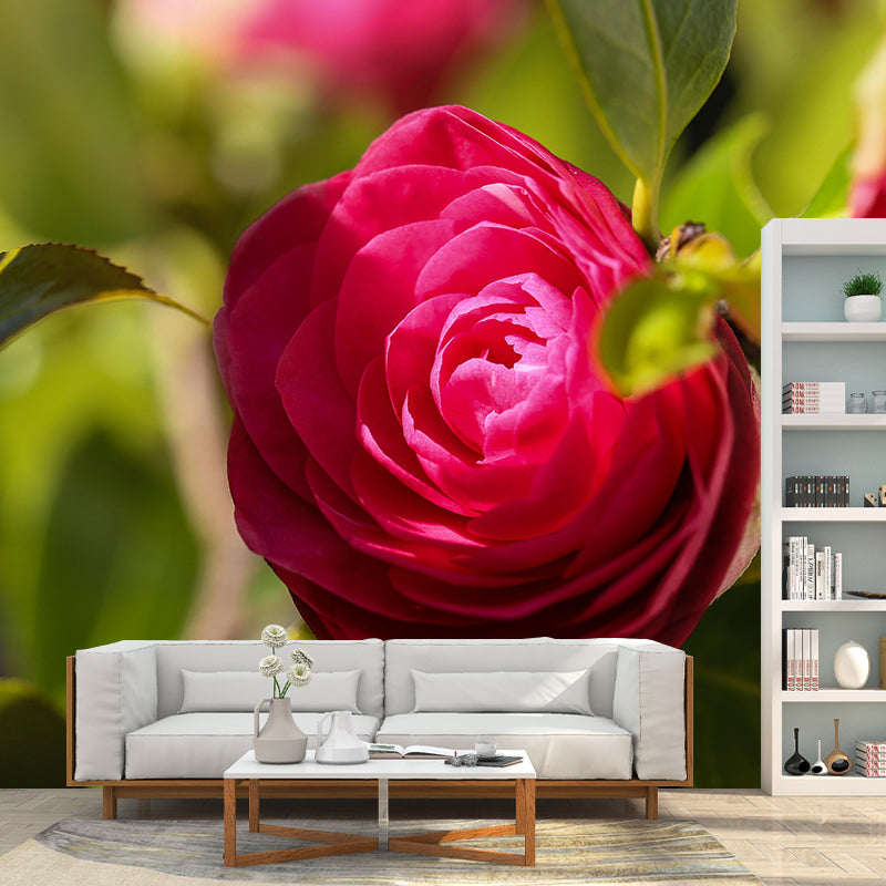 Contemporary Blooming Camellia Mural Wallpaper Environmental for Bedroom