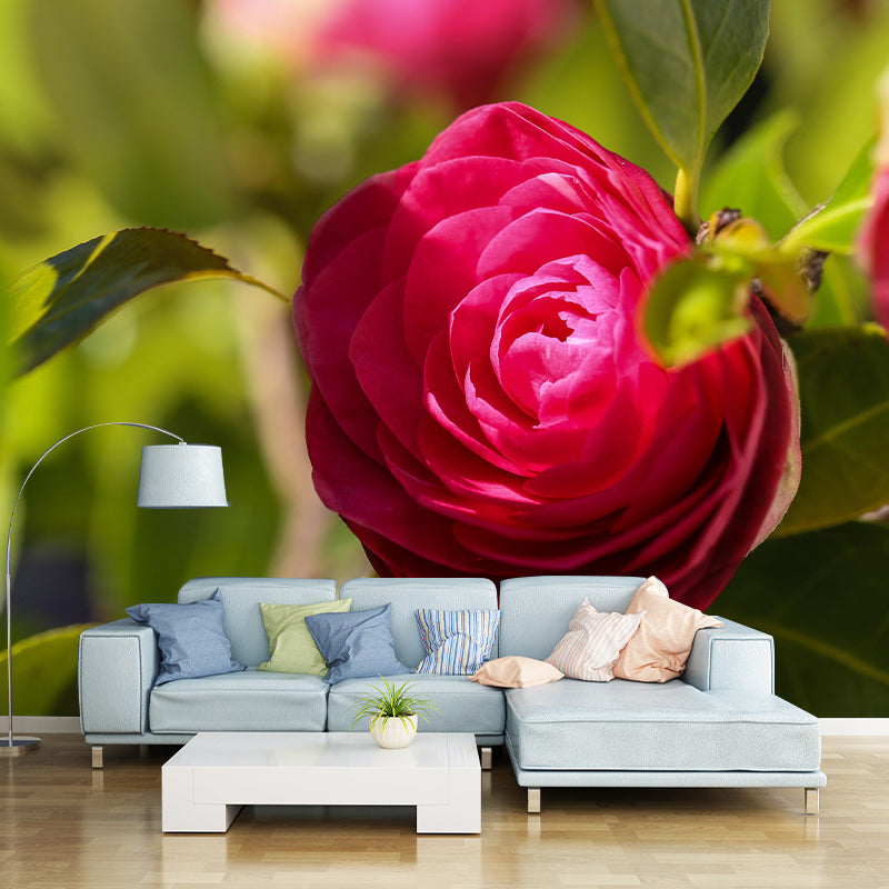 Contemporary Blooming Camellia Mural Wallpaper Environmental for Bedroom