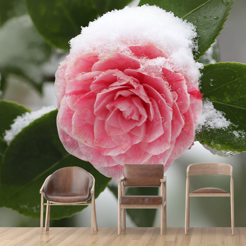 Contemporary Blooming Camellia Mural Wallpaper Environmental for Bedroom