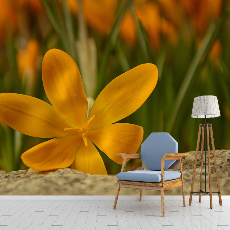 Blooming Saffron Mural Wallpaper Environmental Contemporary for Bedroom