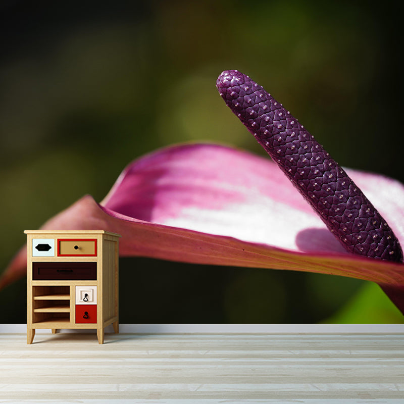 Blooming Anthurium Mural Wallpaper Environmental Contemporary for Bedroom