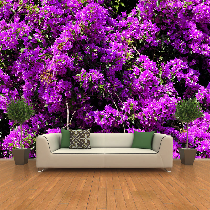 Blooming Bougainvillea Mural Wallpaper Environmental Contemporary for Bedroom