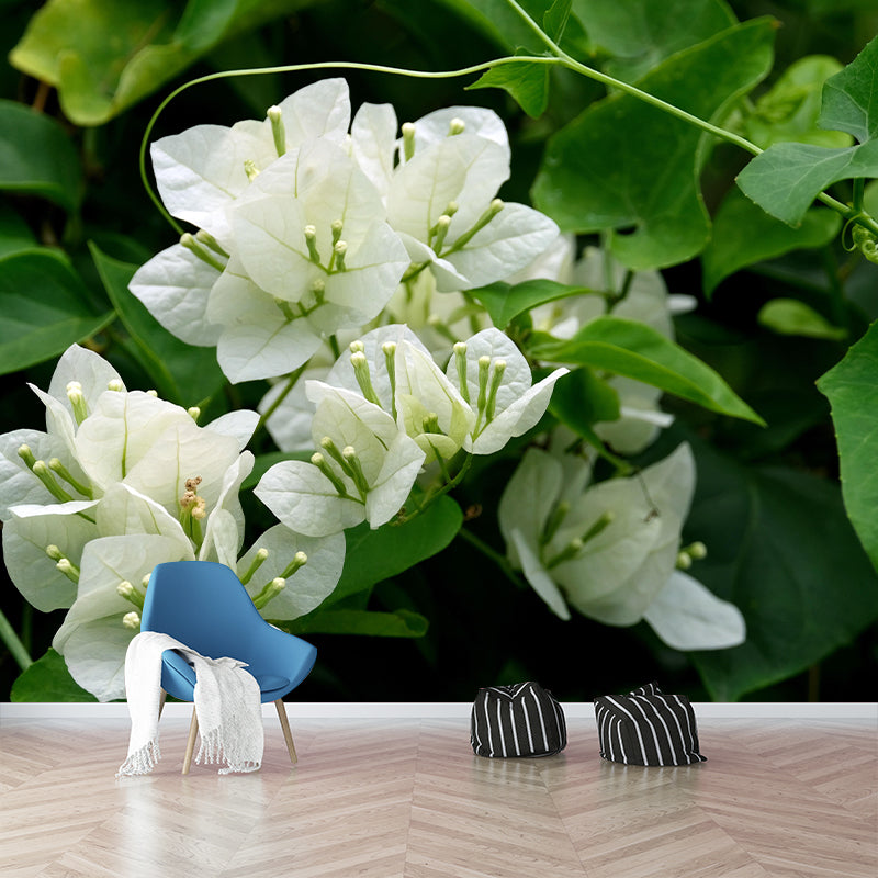 Blooming Bougainvillea Mural Wallpaper Environmental Contemporary for Bedroom