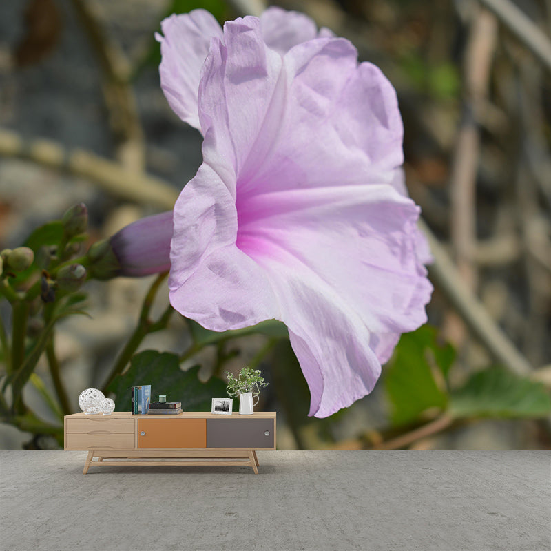 Blooming Morning Glory Mural Wallpaper Environmental Contemporary for Bedroom