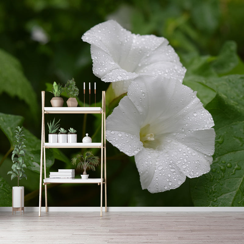 Blooming Morning Glory Mural Wallpaper Environmental Contemporary for Bedroom