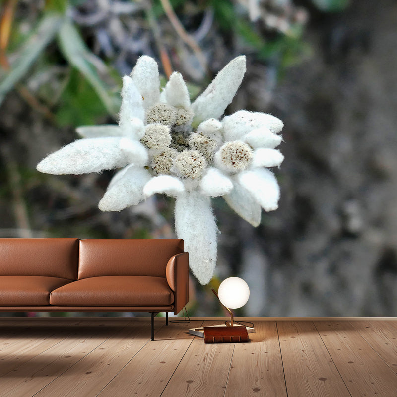 Edelweiss Mural Wallpaper Environmental Contemporary for Living Room Bedroom