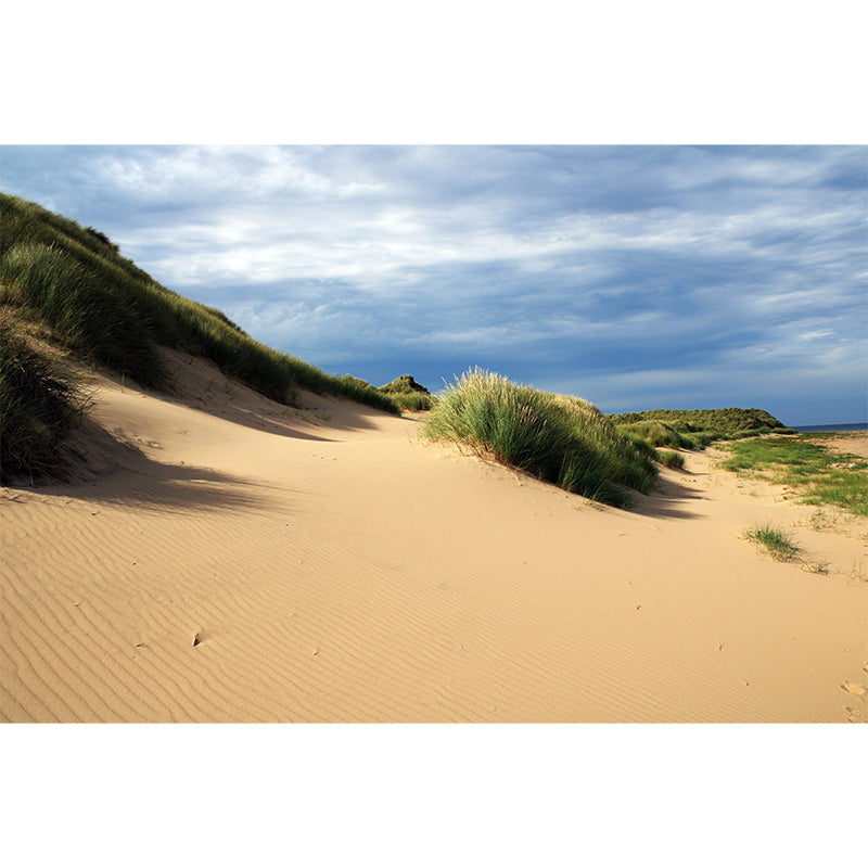 Desert Landscape Mural Wall Paper Home Decorations for Kitchen Living Room