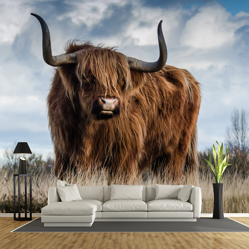 Highland Cow Removable Wall Mural for Sitting Room Bedroom, Made to Measure
