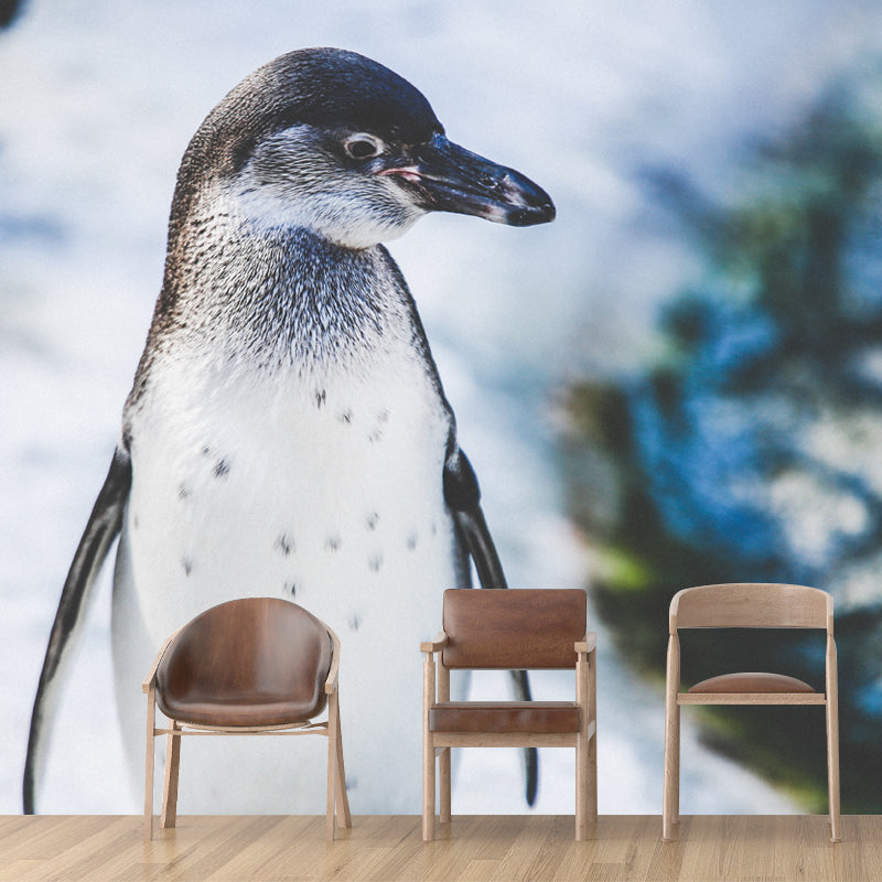 Penguin Animal Mural Wallpaper Contemporary Wall Covering for Sitting Room
