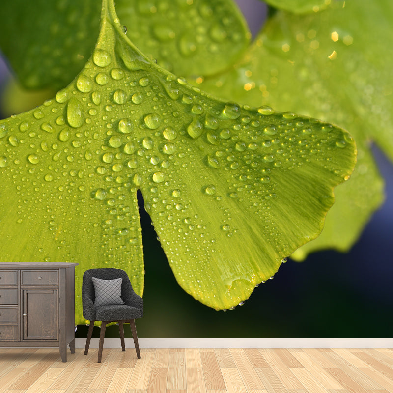 Ginkgo Biloba Mural Wallpaper Contemporary Wall Covering for Sitting Room