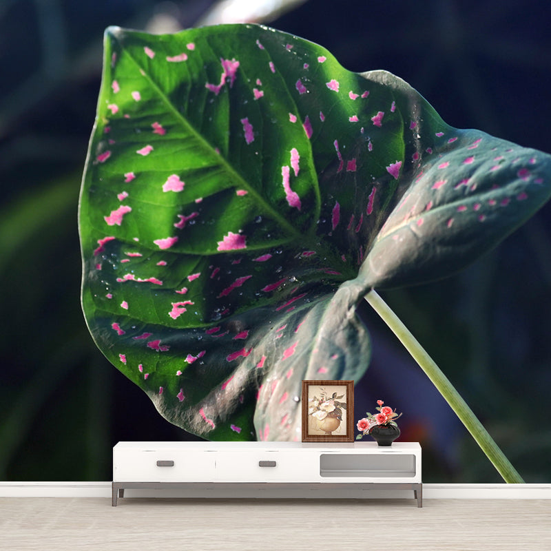 Caladium Plant Mural Wall Paper Home Decorations for Kitchen Living Room Bedroom