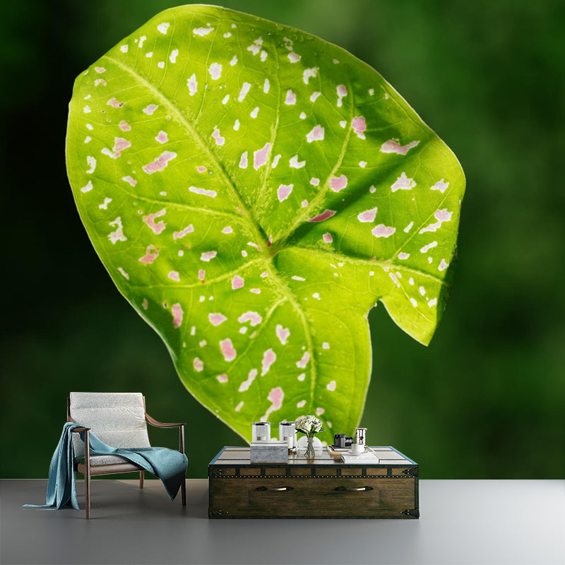 Caladium Plant Mural Wall Paper Home Decorations for Kitchen Living Room Bedroom