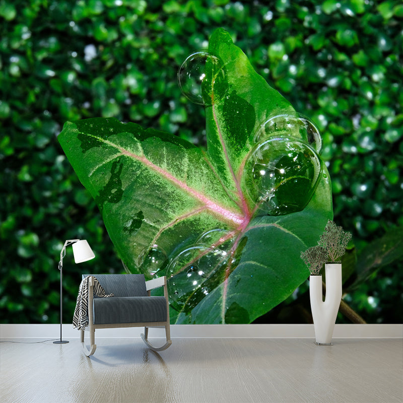 Green Caladium Mural Decal Moisture Resistant for Reading Room, Made to Measure